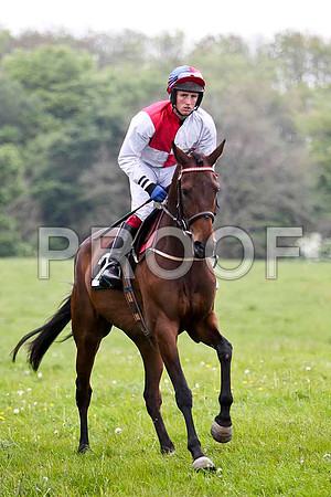 Redbridge Lady , PU, Jockey G L Murphy - FT8E2560-e
