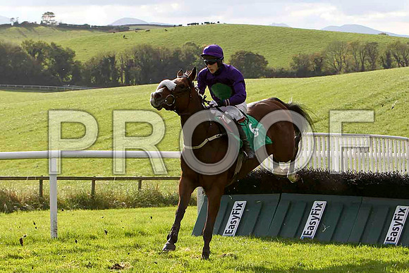 Lord Friday , Jockey E J O'Connell - 11th - CU2D9218-e