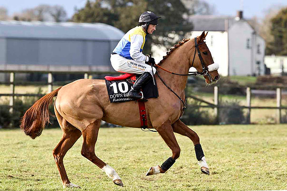 Lord Redsgirth - 7th - Jockey P Carberry - CU2D3159-e
