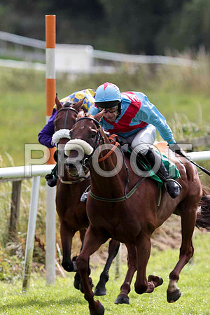 Bennys Quest - 3rd , Jockey T J Doyle   - CU2D9440-e
