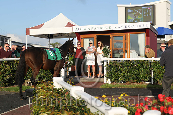 Downpatrick Rqacecourse