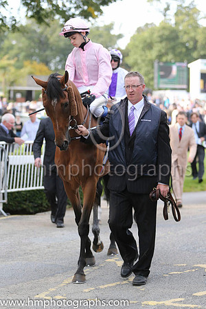 10 Chamonix and D O'Brien - - 10th (1 ,pink ) Trainer - A P O'Brien
