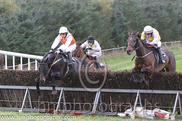 01 Whats Left & J J Codd - winner (16, white, red sash) - FT8E0871-36