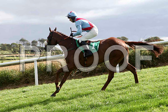 Bennys Quest - 3rd , Jockey T J Doyle   - IMG_9411-e