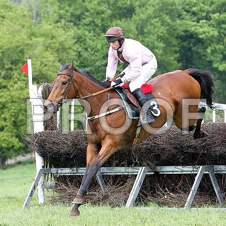 Aces or Better, 2nd, Jockey J J Codd - FT8E2496-e