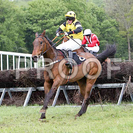 Kircassock Vic, 4th, Jockey D L Queally -FT8E2542-e