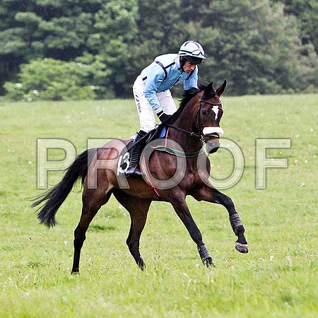 Lady Shirley , Winner, Jockey - Derek O'Connor - FT8E2617-e