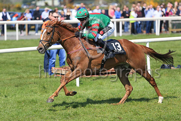 01st Ornua and B T O?Connell ( 13 , green, red disc ) Trainer - H de Bromhead , Owner - John J Phelan , Syed Momin