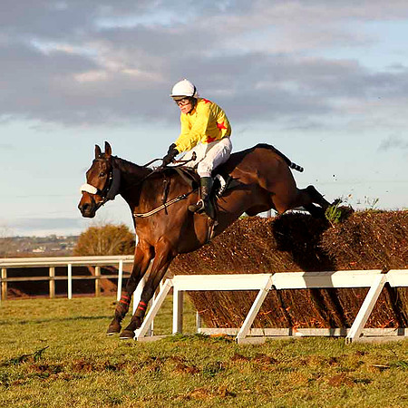 Hidden Crack (Yellow)  - Winner, Jockey S E Butler - CU2D3249-e2CU2D3263-e