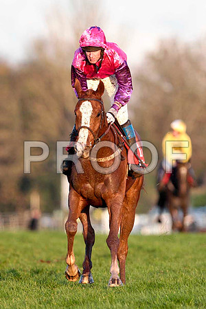 Cabra Cruizor - 13th , Jockey Mr J T Carroll - CU2D0005-e2