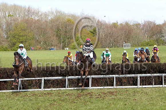 Respectueux (17 - white green star) & J E Flynn - 2nd  & Patsy Dan (16 - black & white hoops) & R M Johnston - 5thFT8E2384-e