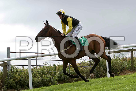 Mountain Heather - 8thMountain Heather - 8th, Jockey Andrew J McNamara  - FT8E3872-e