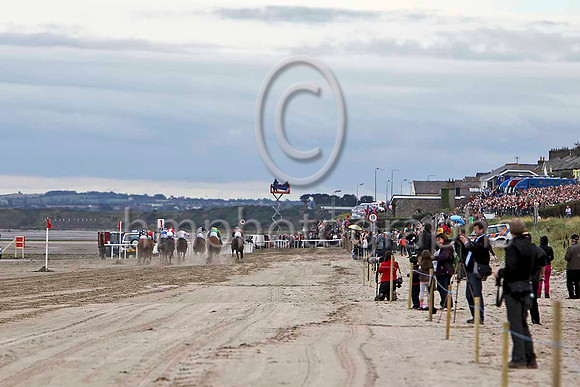 Race 1 Laytown - FT8E4099-e2