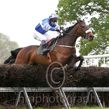 Court In Session , Winner, Jockey J J Codd -FT8E2364-e