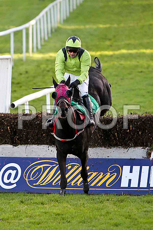 No More Prisoners , Jockey Mr B T O'Connell -8th -  CU2D9467-e