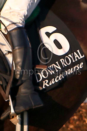 Number 6 Down Royal Racecourse - FT8E6697-e2