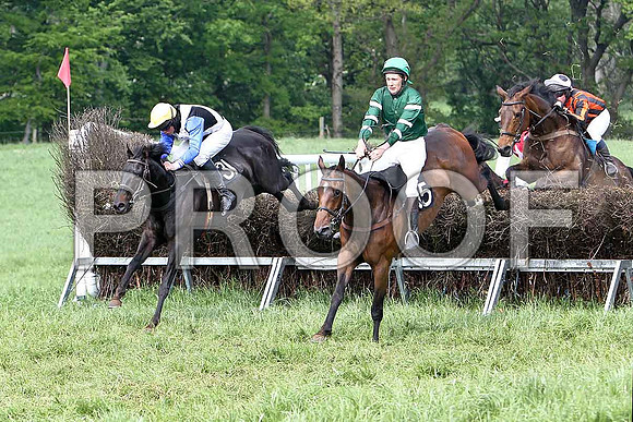 Fifth Race Div 2 -  - CU2D9709-e