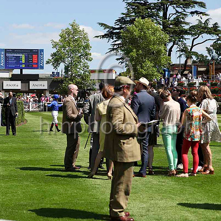 R2 - Frankie Detorri looking for his owner and trainer at Ascot - IMG_9868-e