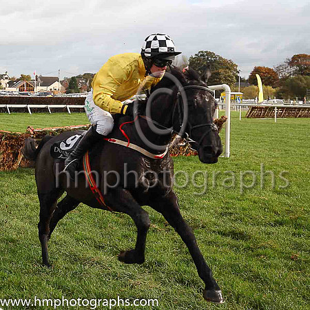 PU Little Missserious and D E Splaine ( 9 , yellow ) Trainer - P J McKenna , Owner - Patrick J McKenna