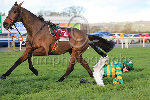 Mark Walsh takes a tumble from Carlingford Lough during the JNWINE.COM Champion Chase at Down Royal