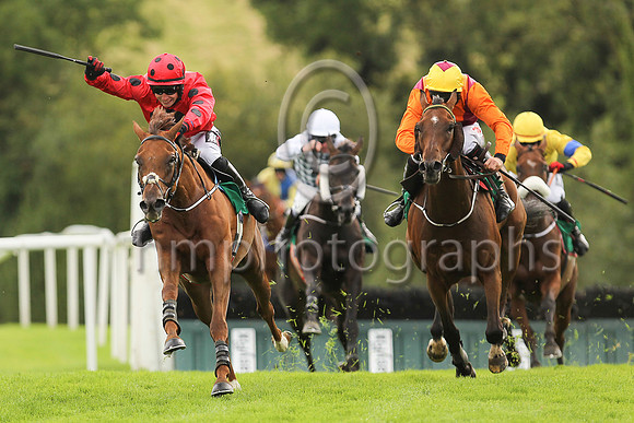 01st Mischievious Max and J J Slevin ( 3 , red, black spot ) Trainer - Joseph P O?Brien , Owner - Colmark Stud Partnership