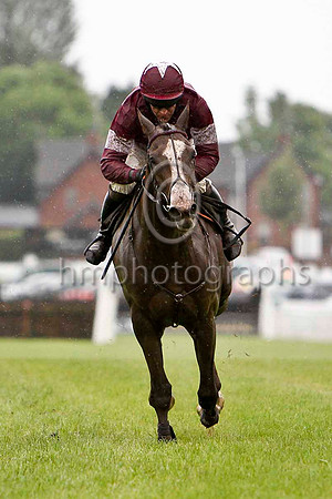 His Excellency & B J Geraghty - 3rd (13, maroon , white star) - FT8E5252-e