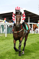 Blue Magneto 8th, Jockey Mr N T Slevin - CU2D1728-e