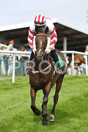 Blue Magneto 8th, Jockey Mr N T Slevin - CU2D1728-e