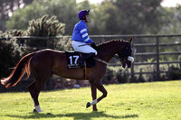 Beneficialhussy 13th, Jockey T M G Ryan- FT8E0988-e