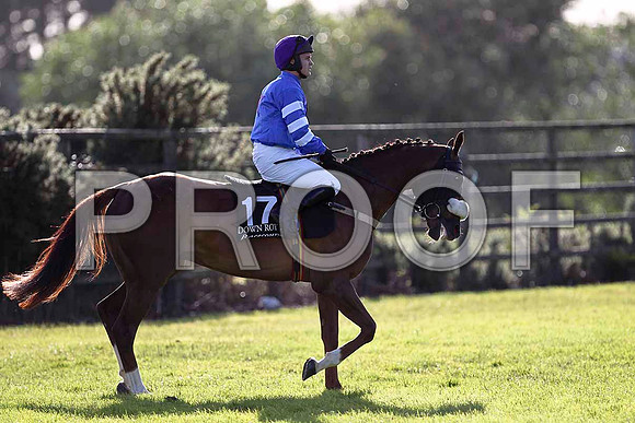 Beneficialhussy 13th, Jockey T M G Ryan- FT8E0988-e