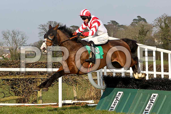Endless Empire - 8th, Jockey M Darcy -CU2D3696-e
