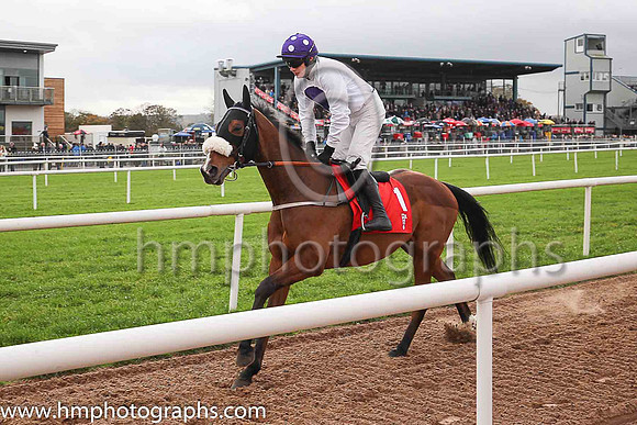 04th My Manekineko and P Townend ( 1 , white, purple disc ) Trainer - J Nash , Owner - Ka Hon Tham