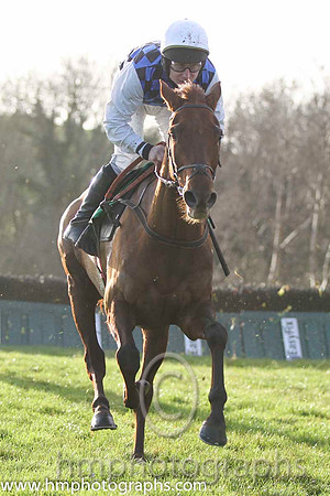 08 Diamond Gesture & P T Enright - 8th (4, royal blue and black check) - FT8E1214-44