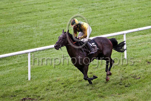 Pollydollydoodle & Miss J M Mangan - 3rd (15, yellow,emerald green chevron) - FT8E5490-e