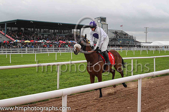04th My Manekineko and P Townend ( 1 , white, purple disc ) Trainer - J Nash , Owner - Ka Hon Tham