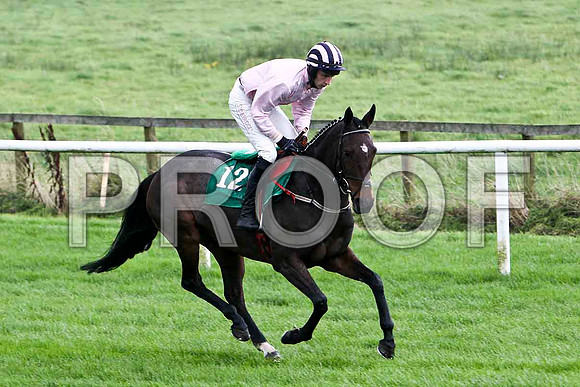 Nanna Maura , 2nd - Jockey E J O'Connell - FT8E5175-e