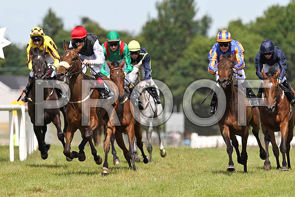 Customary Focus , Stroke of Love winner , Jockey P J Smullen, Edallora 3rd, Paloma Blanca 6th, Dance on By 2nd & Fit for a Queen 4th - FT8E1553-e