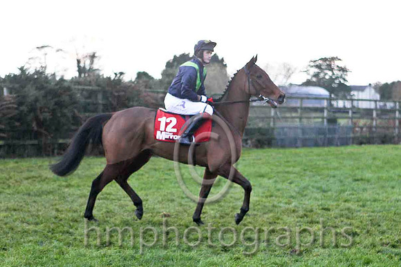 Wither Hills , Jockey Mr C Cully - 11th - FT8E4916-e