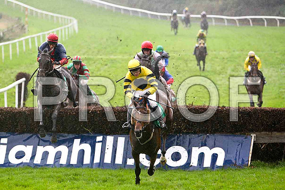 Fairwood Massini , 2nd , Jockey D J Bates leads followed by Streamtown , winner , Jockey Mr S Crawford - FT8E5365-e3