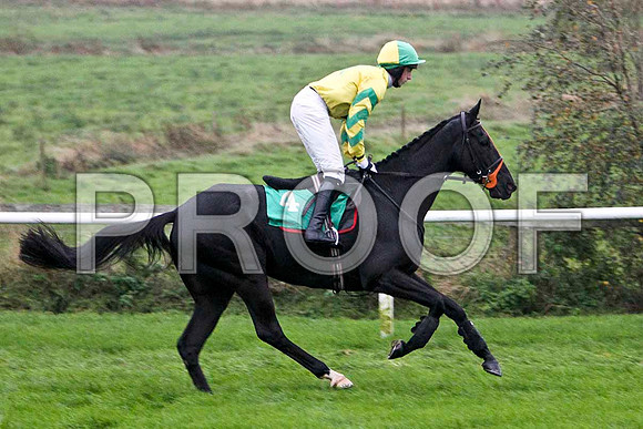 Hidden Profit , Fell - Jockey C D Maxwell - FT8E5445-e