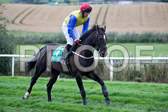High Talk - 5th , Jockey M P Butler - FT8E3936-e