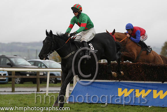 02 Kilcommon Pride & M Darcy - 2nd (8, emerald green , red star) & 08 Emperor Concerto & D N Russell - PU (6, red, royal blue sleeves) - FT8E0451-16