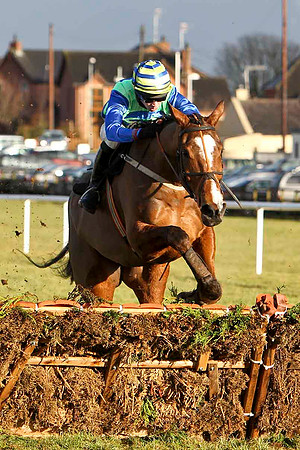 Luddsdenene 5th, Jockey D J Bates - FT8E9922-e