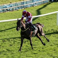 01st Flanking Maneuver and Mr F Maguire ( 2 , maroon, white star ) Trainer - N Meade , Owner - Gigginstown House Stud