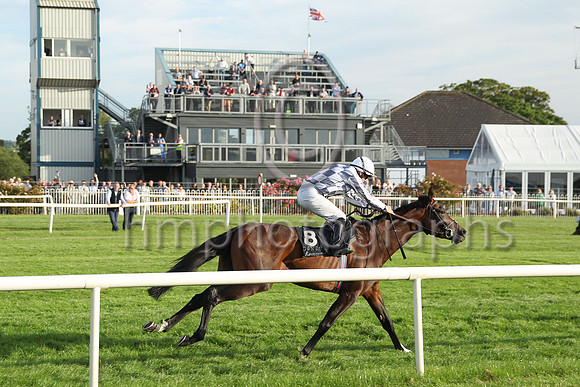 01st Perotan (8 , grey and white check ) Jockey: W M Lordan , Trainer: A P O'Brien