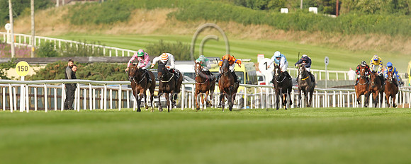 02nd Free To Party (5 , pink , green stars ) Jockey: B M Coen , Trainer: J P Murtagh