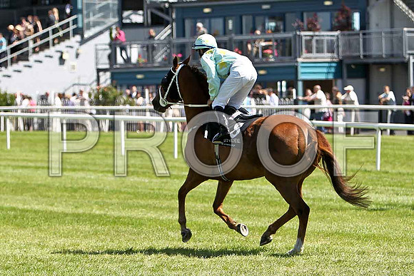 Lilly Be 5th, Jockey N G McCullagh - CU2D0194-e