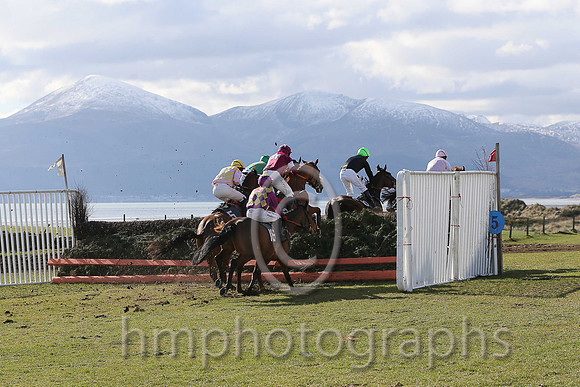 Point to Point racing at Tyrella in the shadow of the Mourne Mountains