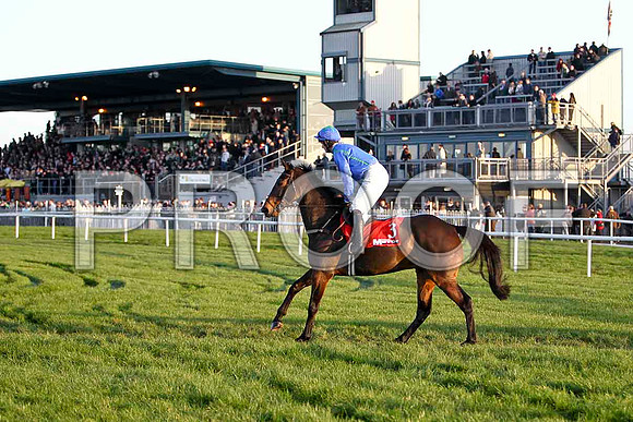 Hidden Future - 5th , Jockey Mr M J O'Hare - FT8E7293-e