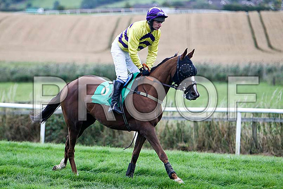 Banellie - Winner , Jockey D R Fox - FT8E3935-e
